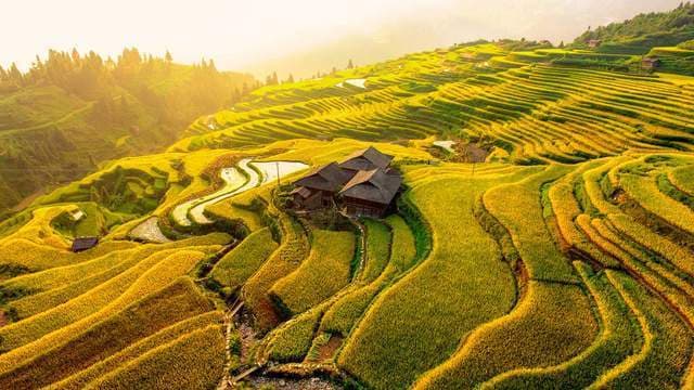 从江加榜梯田：1900年历史的苗族梯田胜景
