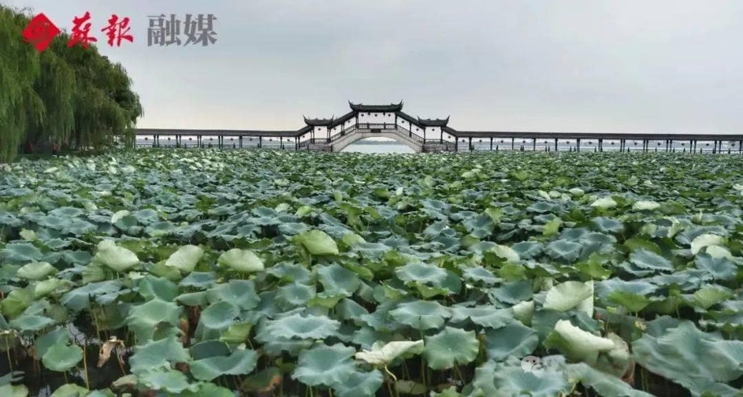 苏州，靠什么抢人！