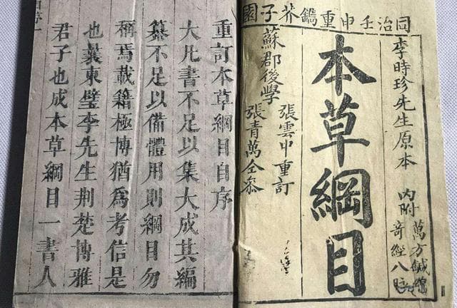 石太岁：古籍记载中的神秘养生瑰宝