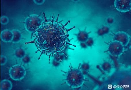 非细胞生物“域”中的亚病毒因子