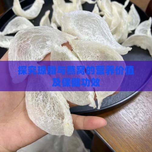 探究琼脂与燕窝的营养价值及保健功效