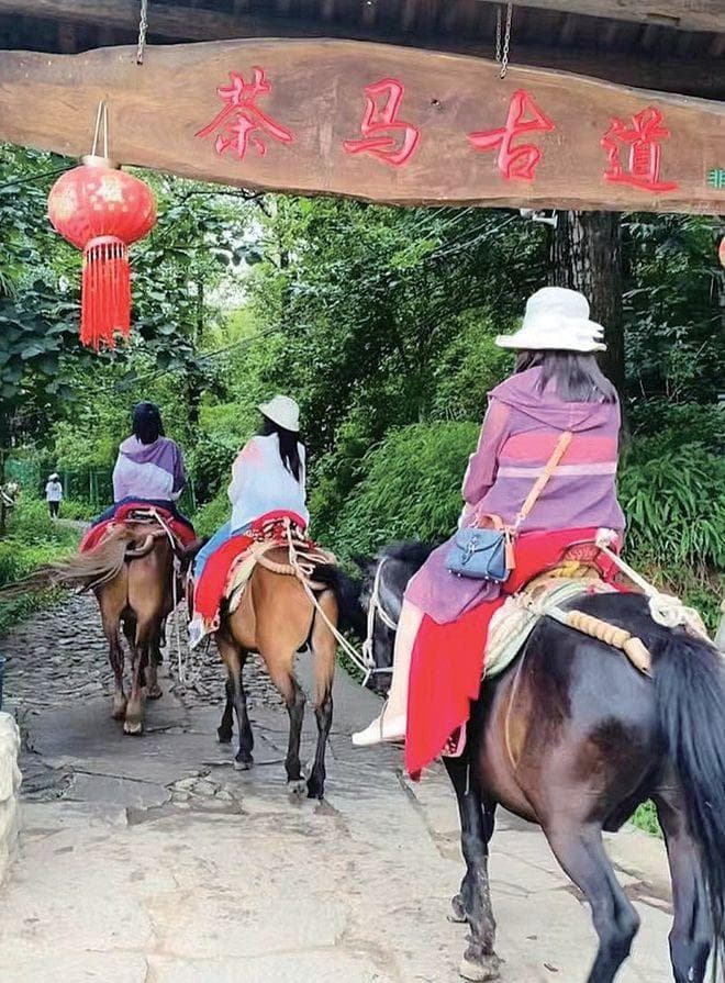 凤阳邑村成为云南省农文旅融合发展参考案例
