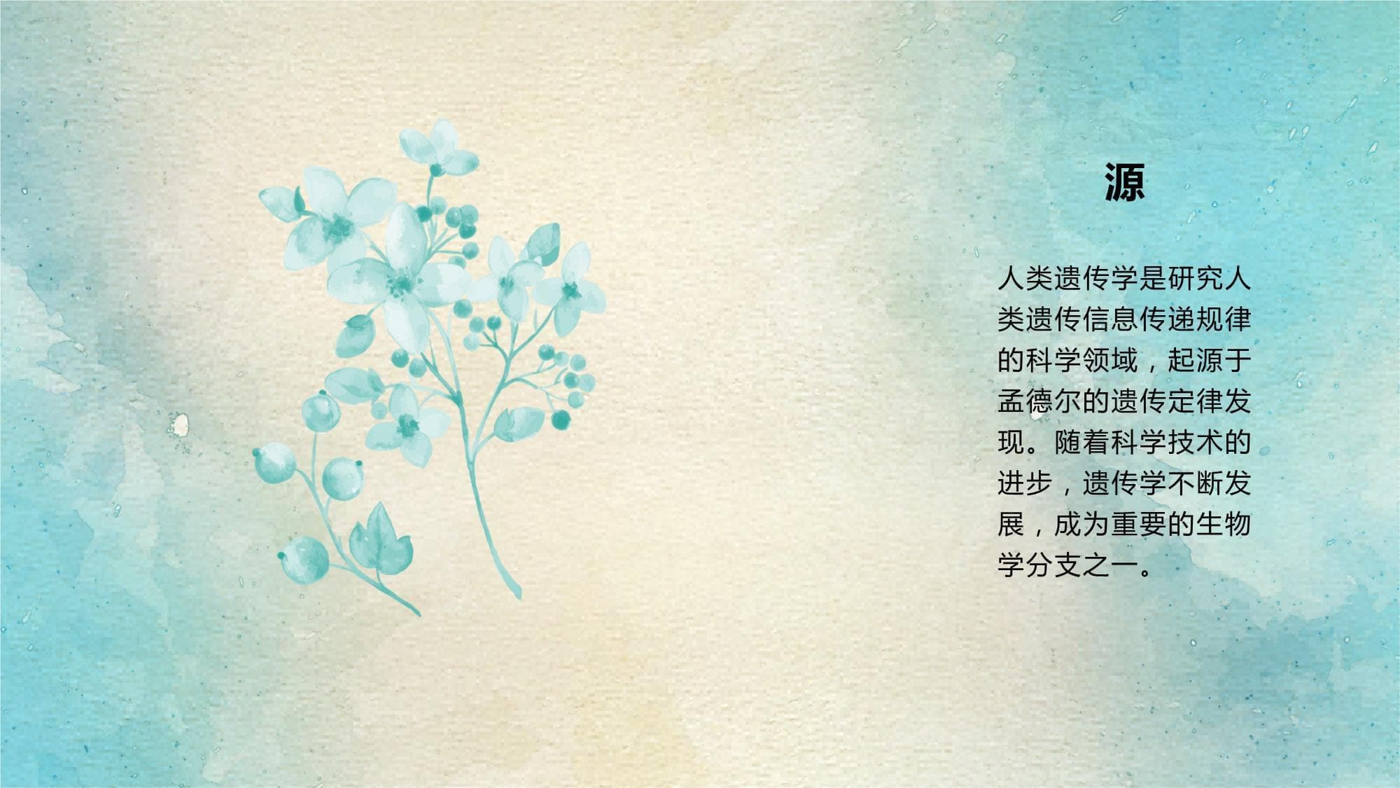 人类遗传学的基础知识