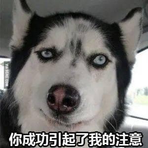 奥运将近，骗子激增！巴黎街头的骗术有这么多？！注意捂好钱包......
