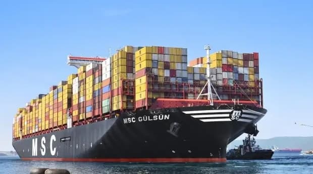 国际海运巴拿马港口吞吐量呈现两位数增长（总吞吐量为559万标箱）