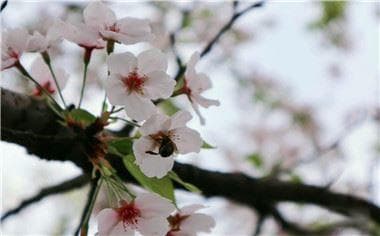 相邻权纠纷找什么部门解决？三个常见法律问题详解