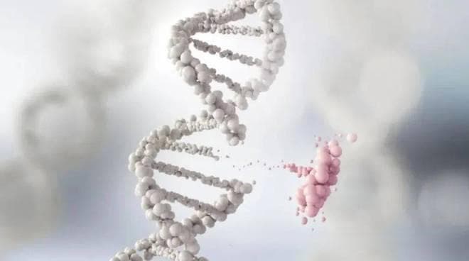 致癌物为何要分级？致癌 “雷区” 怎样巧妙避开？专家深度解读！