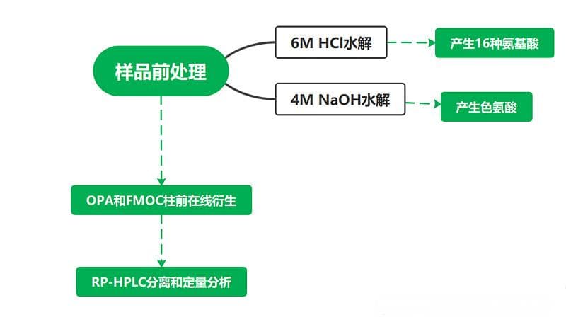 司美格鲁肽的氨基酸组成及氨基酸比值分析研究