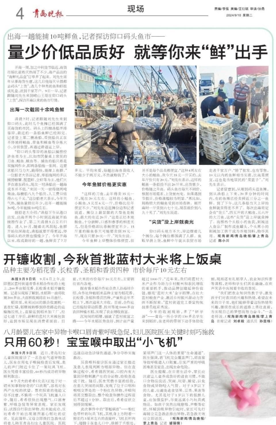出海一趟能捕10吨鲜鱼，仰口码头鱼市  等你来“鲜”出手