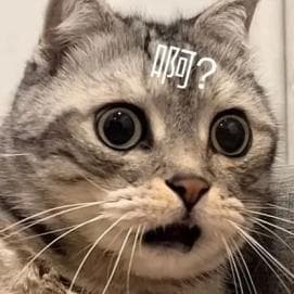 官司打赢了！如何申请强制执行？