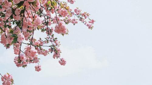 从生活场景到动手实践：数学教学三大创新方法