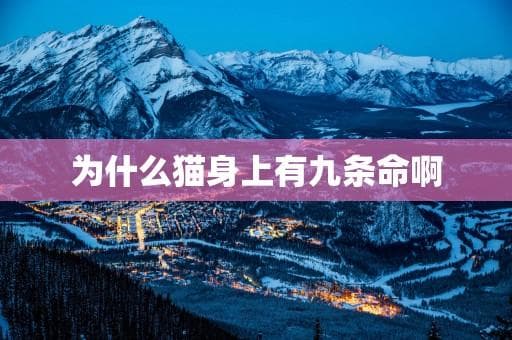 为什么猫身上有九条命啊