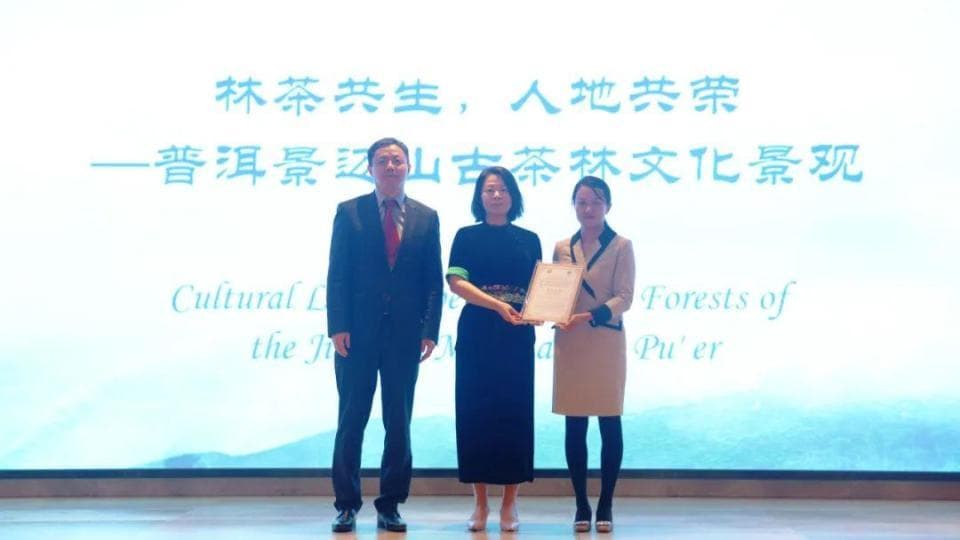 祝贺！普洱这个案例入选2024年度亚洲遗产可持续发展优秀案例