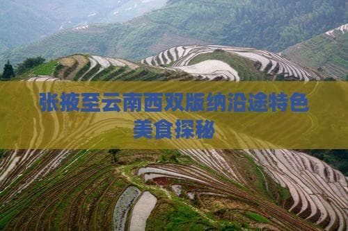 张掖至云南西双版纳沿途特色美食探秘