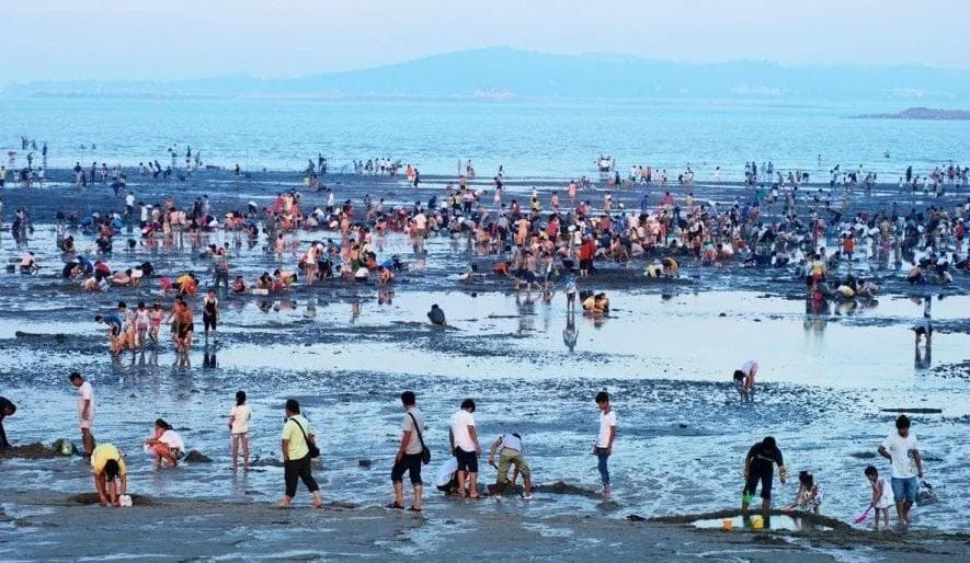 厦门赶海攻略：时间、地点、装备全解析