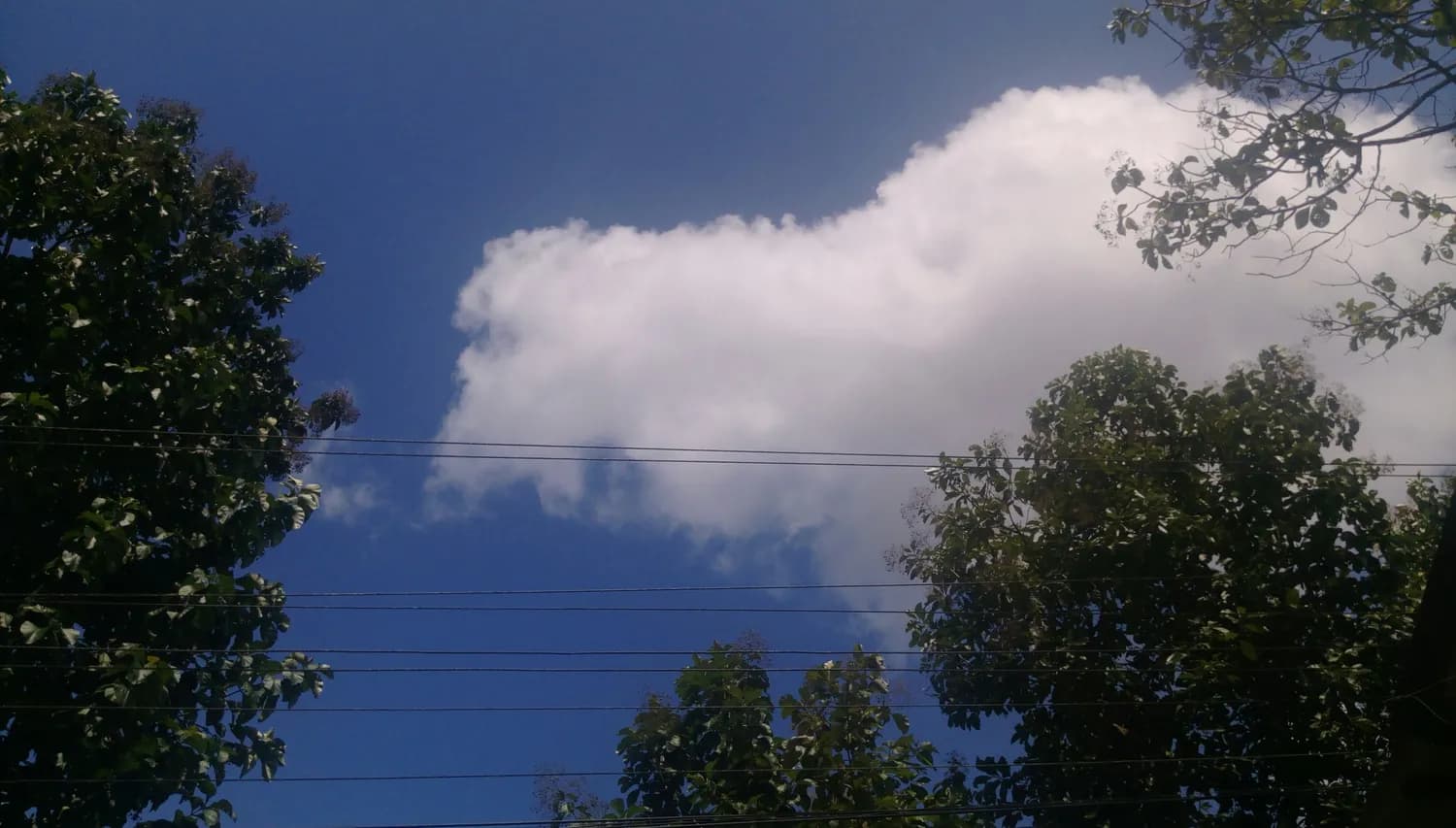 成都未来一周最佳一日游攻略：避开雨天，玩转蓉城！