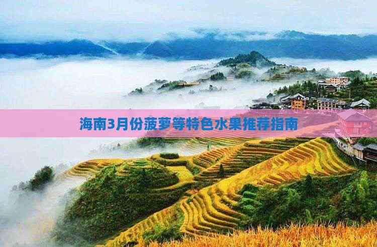 海南3月份菠萝等特色水果推荐指南