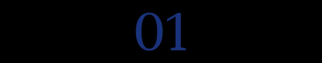 DeepSeek的B面：幻觉、隐私与"幽灵特征"