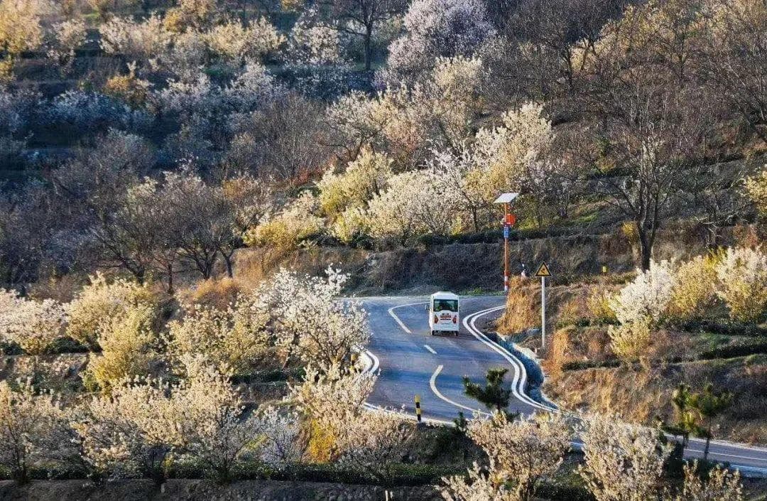 骑行&自驾：齐鲁风情5号路，总有不一样的风景！