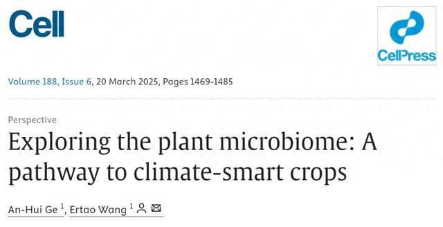 中科院团队在Cell发表综述：微生物组助力绿色农业新突破