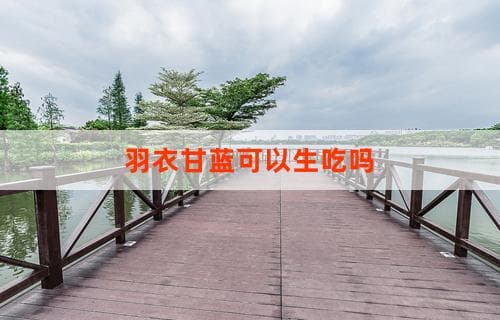 羽衣甘蓝可以生吃吗？一文解答你的疑惑
