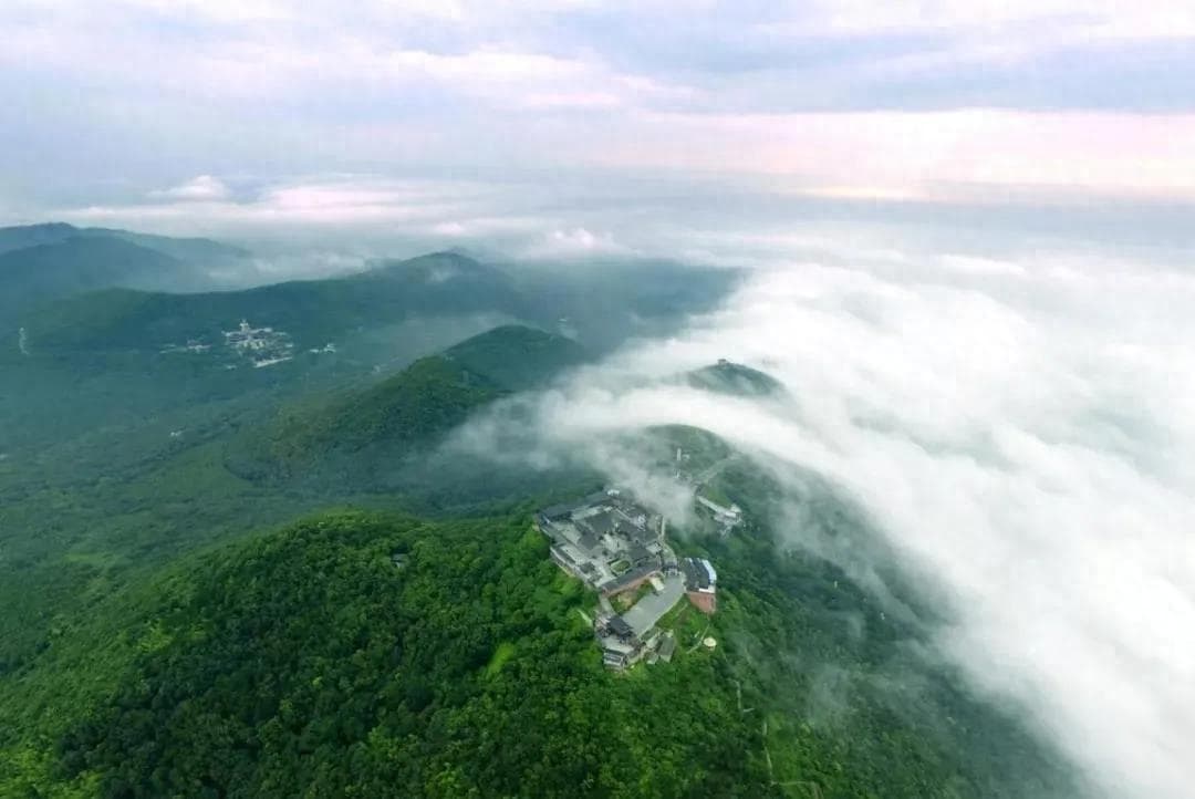 江苏12种非著名绿茶大赏