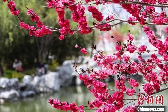 “闰月清明不上坟”，说法靠谱吗？