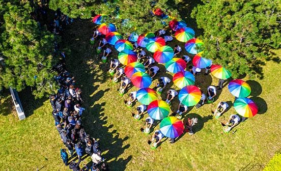 草坪葬兴起：以生态简约理念引领殡葬方式变革