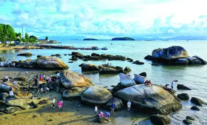 赶海攻略：如何抓住最佳赶海时机