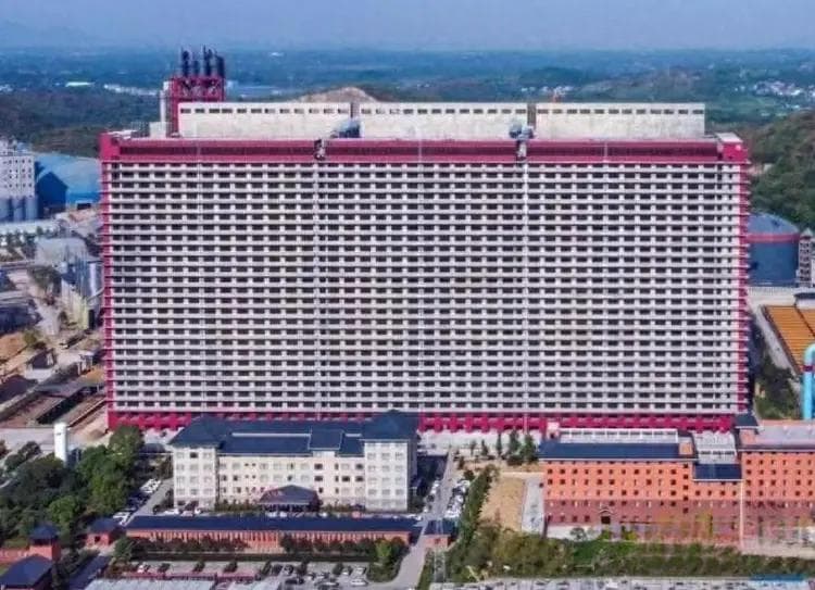 世界第一养猪大楼在中国，造价40亿，每年出栏120万头，太牛了！