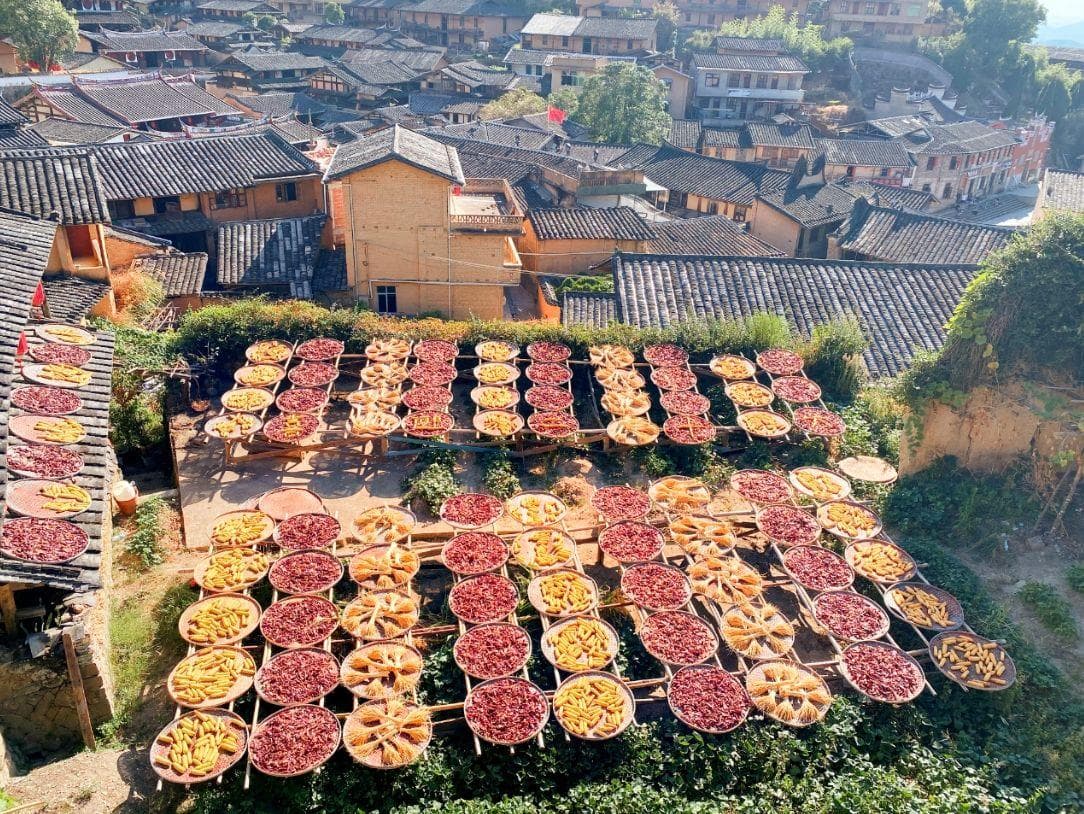 福建三明桂峰村掀旅游热：诗意共远方