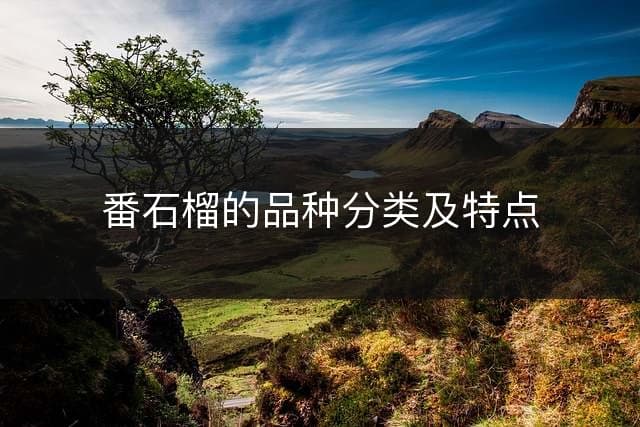 番石榴的品种分类及特点