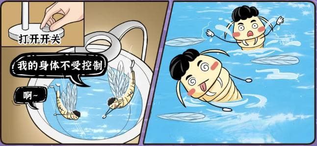 广州进入白蚁分飞高峰期，这些防治知识请收好