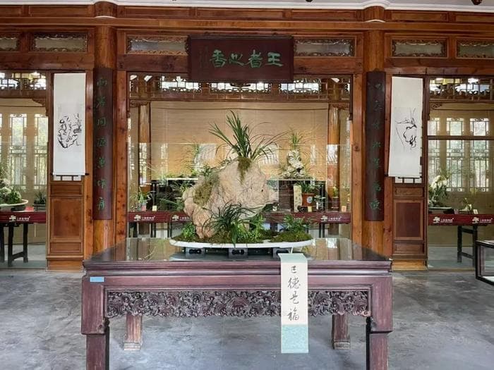 上海春兰展：非遗技艺与植物科普的跨界融合