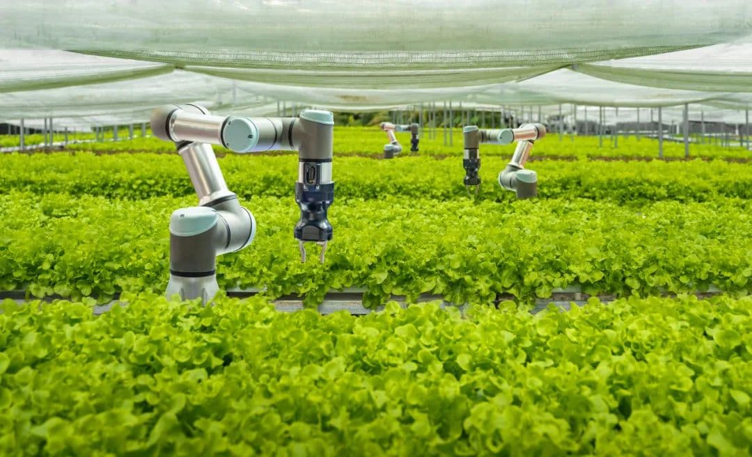 AI & ESG｜在缓解、过渡和适应方面的投资影响