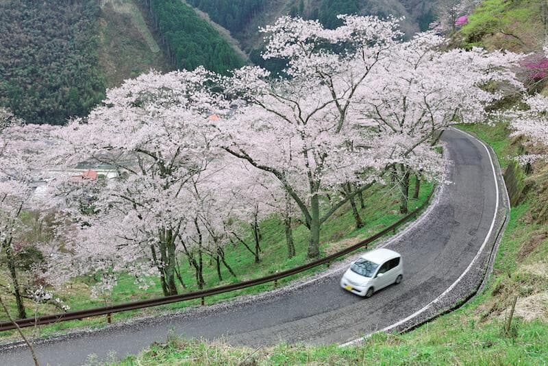 日韩欧美自驾游注意事项！旅行实战前要注意这些事