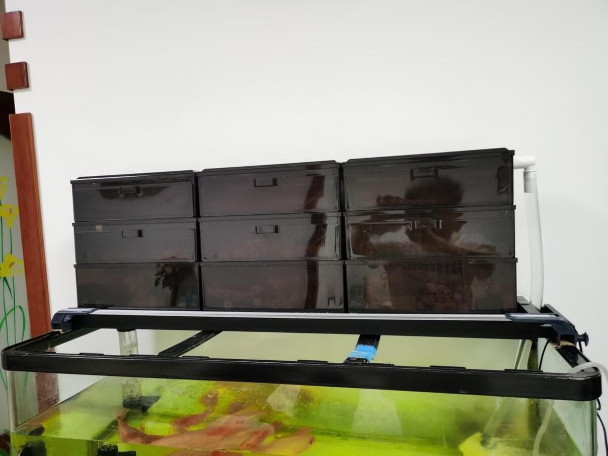 上滤鱼缸的最佳过滤方法，分享 4 种不错的设计！