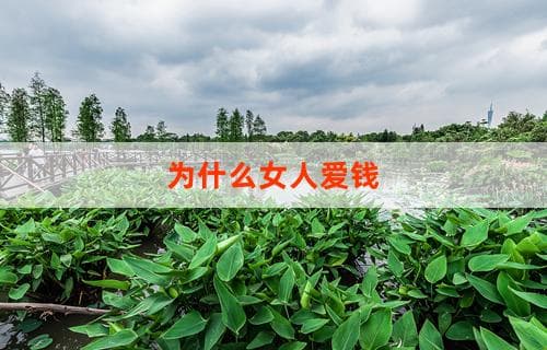 为什么女人爱钱：深层次的心理与社会因素解析