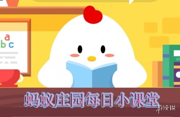 从哪里可以看足球直播：多元化的观赛途径与体验