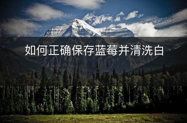 如何正确保存蓝莓并清洗白色斑点
