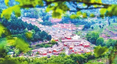 成都市青白江区：推进城乡融合发展 加快建设宜居宜业和美乡村