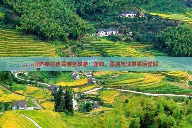 齐齐哈尔自驾游全攻略：路线、景点与注意事项详解