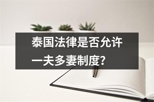 泰国法律是否允许一夫多妻制度？