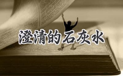 石灰水变浑浊的秘密：探秘化学反应背后的奥妙
