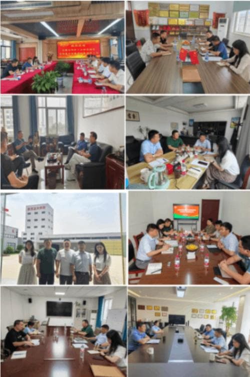 安徽省2024年上半年猪饲料产业调研报告：聚焦产品创新与服务升级