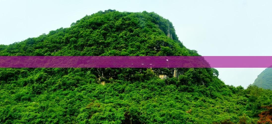 保山启程：探秘云南西双版纳豪华旅游盛宴