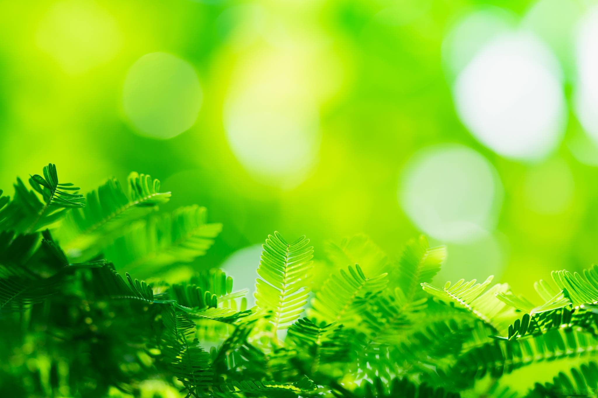 人体如何吸收负氧离子？科学解析与健康效应探究