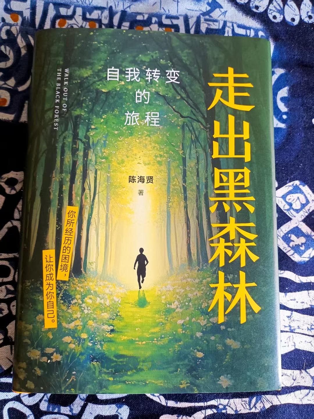 《走出黑森林》：一本关于个人转变的心理指南
