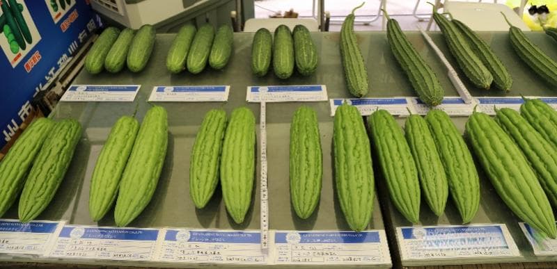 南瓜粉糯、凉瓜肉厚，夏天多吃瓜！在广东如何做一个吃瓜群众