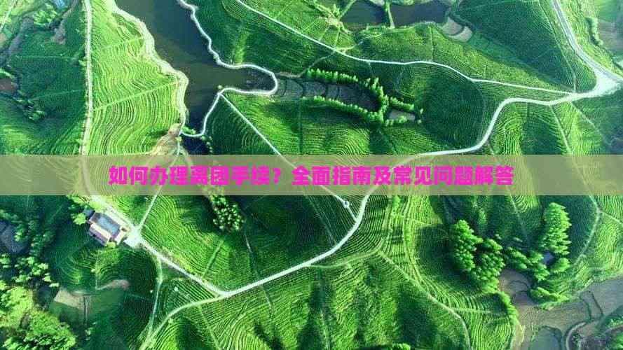 如何办理离团手续？全面指南及常见问题解答